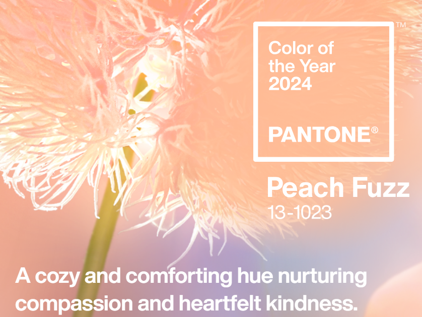 Pantone Renkleri Ne Demek? Pantone Renkler ile Uyumlu Takılar